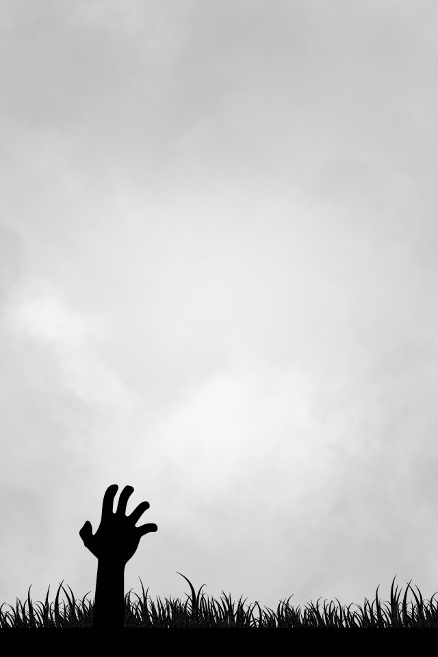 Beautiful Pumpkins 🎃 - Silhouette Clipart (640x960), Png Download