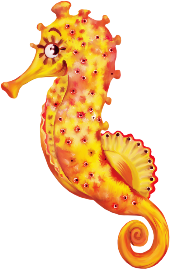 **✿*fauna Marina*✿** - Northern Seahorse Clipart (665x1024), Png Download