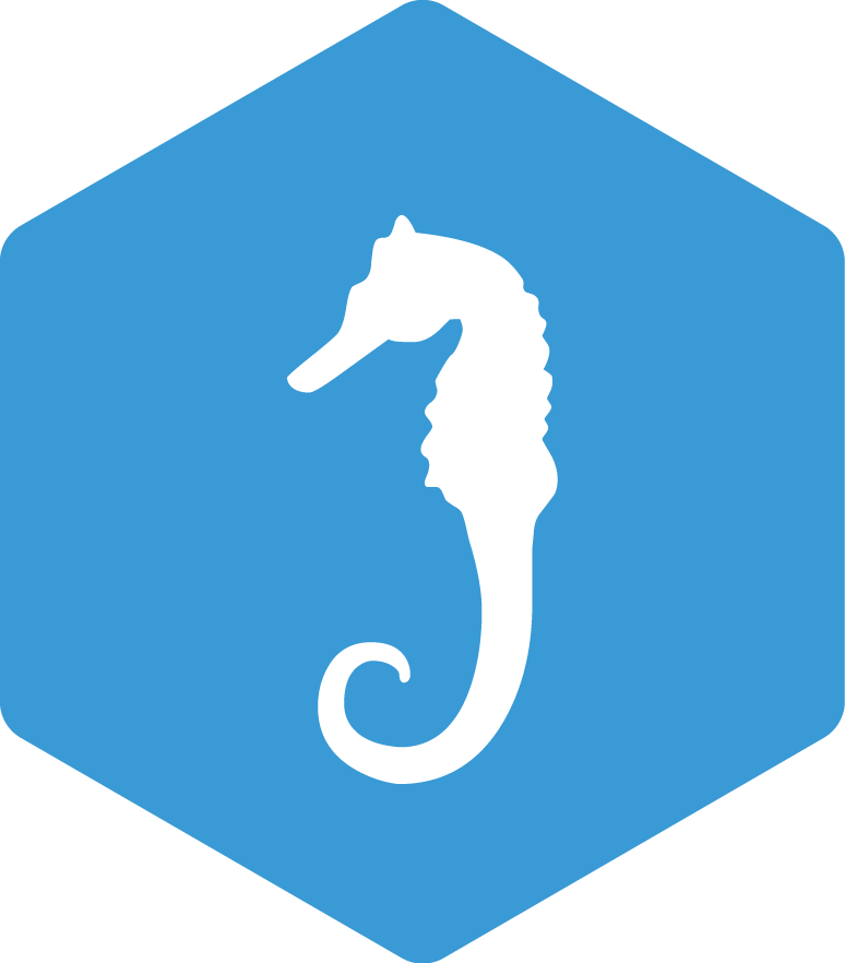 07-seahorse - Northern Seahorse Clipart (774x882), Png Download