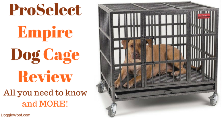 Heavy Duty Dog Crate - Pro Select Empire Dog Crate Clipart (800x412), Png Download