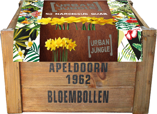 327209 Urban Jungle Crate Xl Def - Plywood Clipart (600x600), Png Download