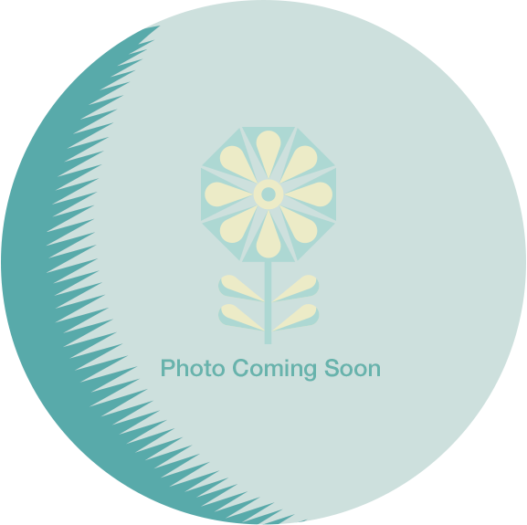 1 - Circle Clipart (577x575), Png Download
