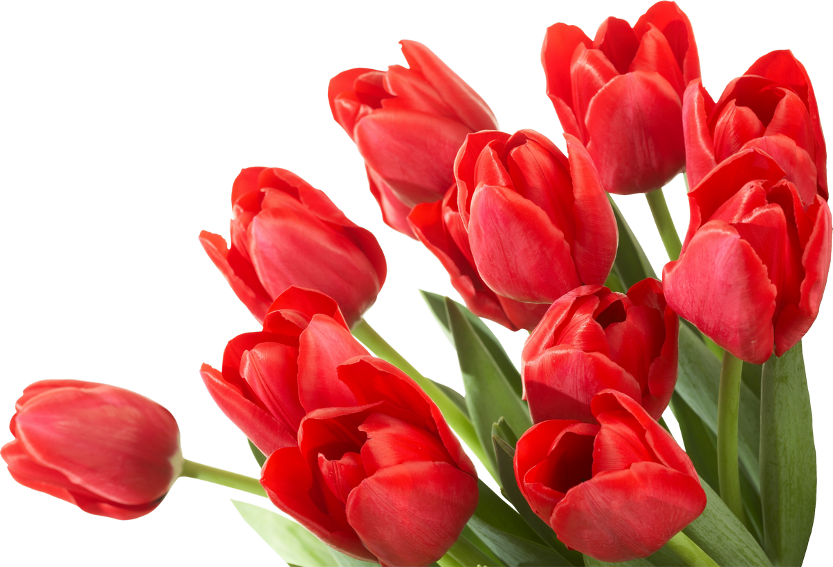 Bouquet Of Flowers Png Image Flower Desktop Wallpaper, - Trenčín Castle Clipart (1204x820), Png Download