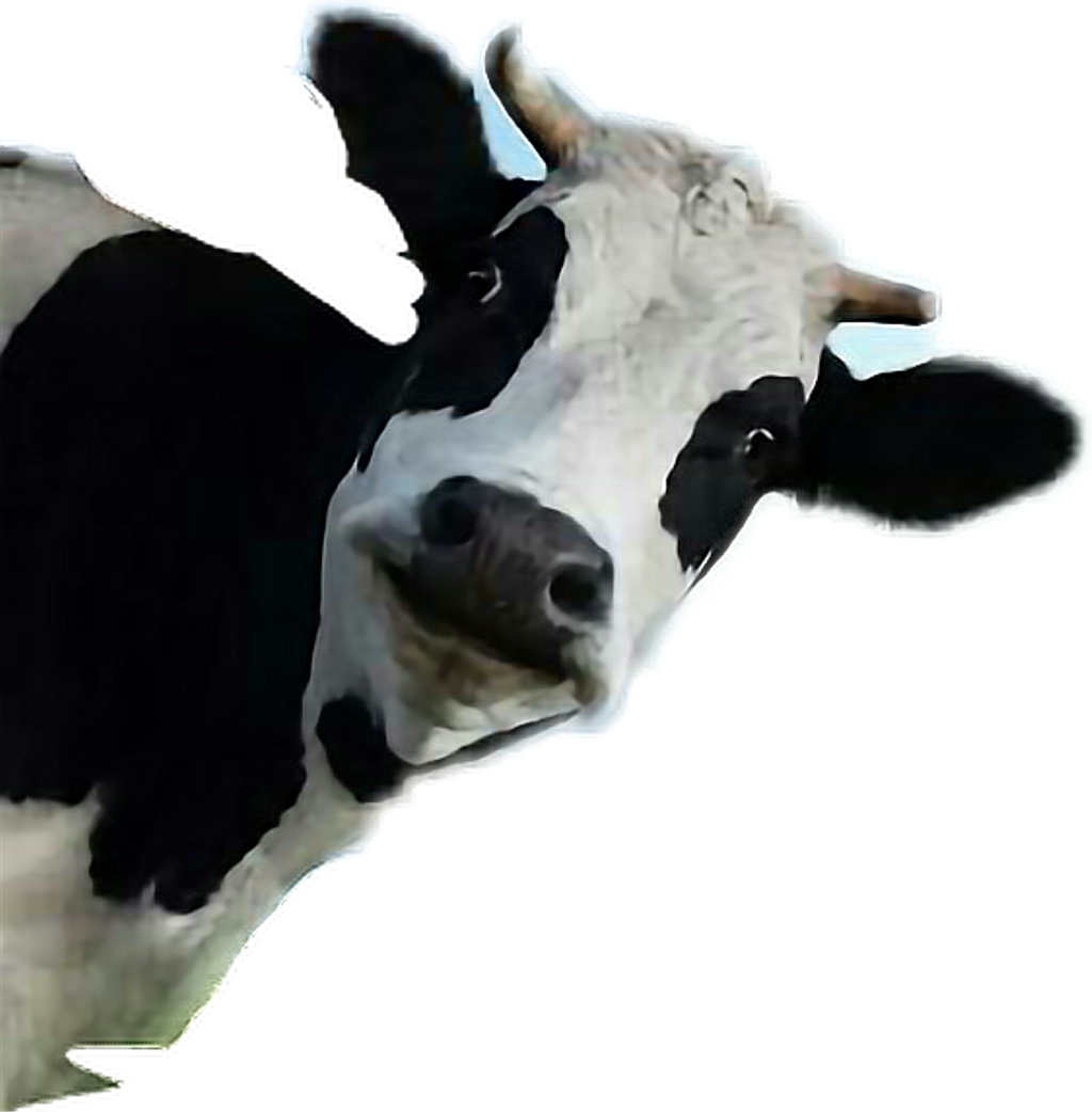 Vaca Png Transparent Background - Cow Peeking Around Corner Clipart (1024x1042), Png Download