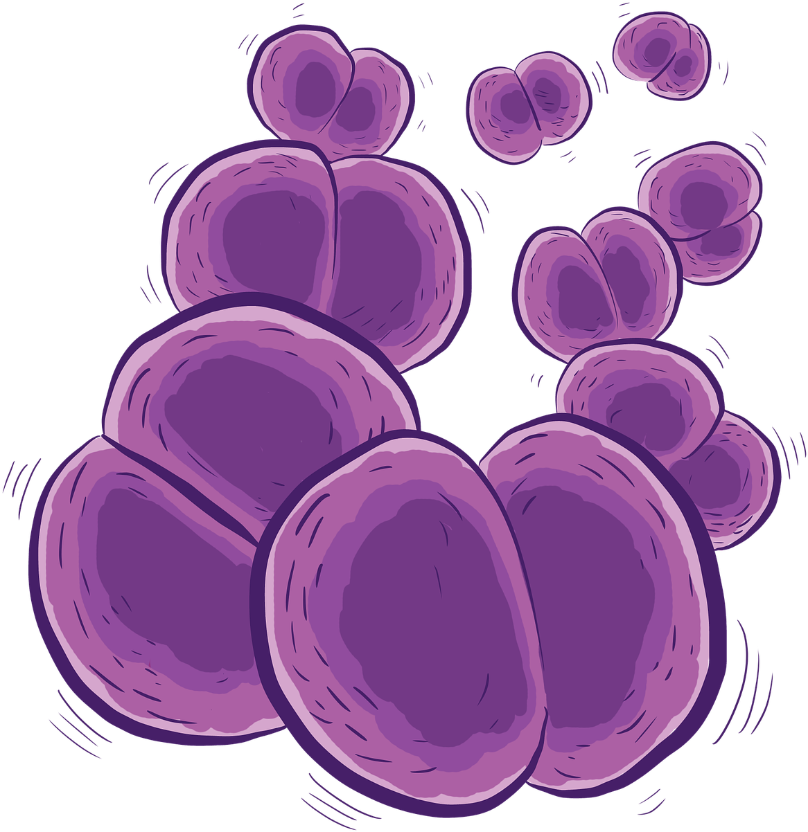 Bacteria Bacterium Png Image - Meningococo Png Clipart (1280x1280), Png Download
