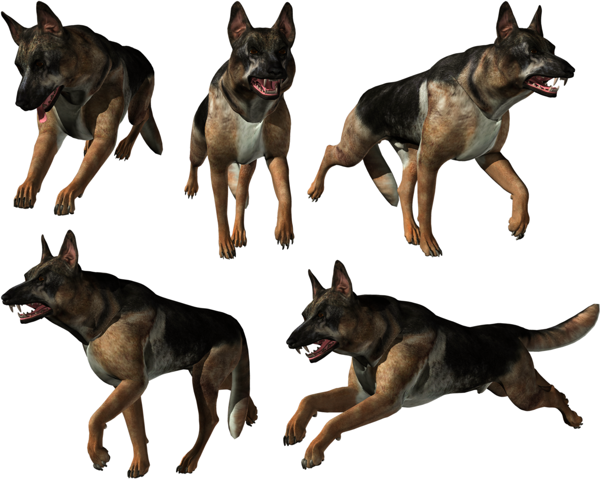 Old German Shepherd Dog Clipart (1280x1042), Png Download