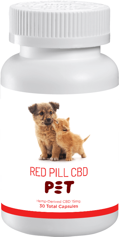 Companion Dog Clipart (1000x1000), Png Download