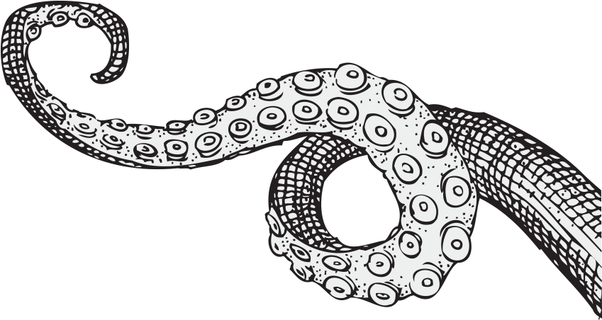 Tentacles Drawing , Png Download - Black And White Tentacles Drawing Clipart (849x452), Png Download