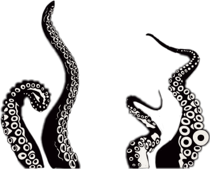 #scoctopus #octopus #blackandwhite #tentacles - Transparent Background Tentacles Png Clipart (428x344), Png Download