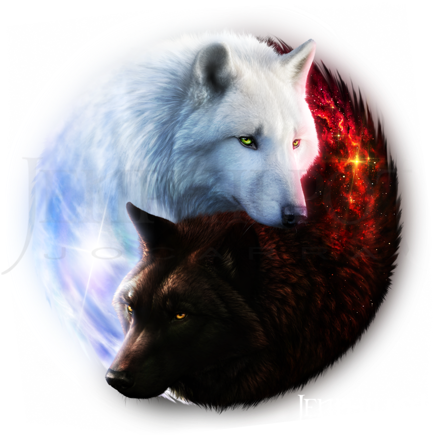 Image Result For Yin Yang Wolf - Yin And Yang Wolf Clipart (894x894), Png Download