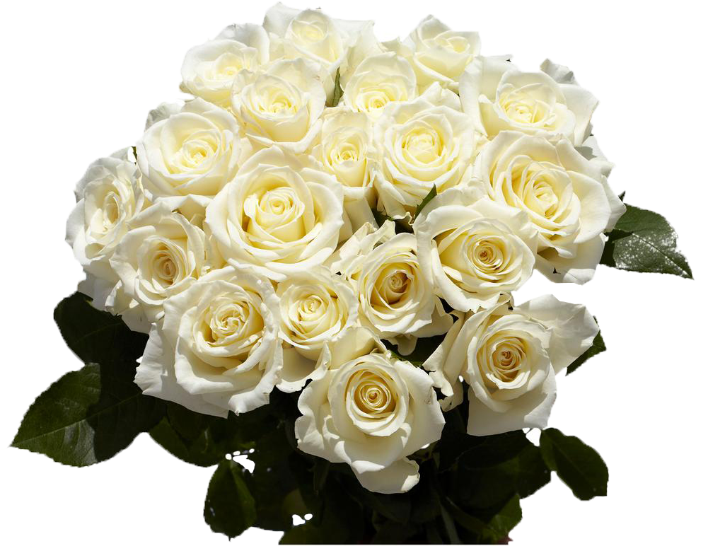 Fresh White Flowers Clipart (1000x1000), Png Download