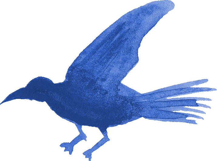Free Download - Blue Jay Clipart (716x534), Png Download