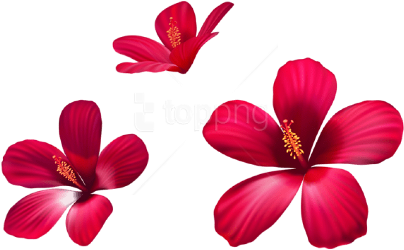 Free Png Download Exotic Pink Flowers Png Images Background - Small Pink Flowers Png Clipart (850x544), Png Download