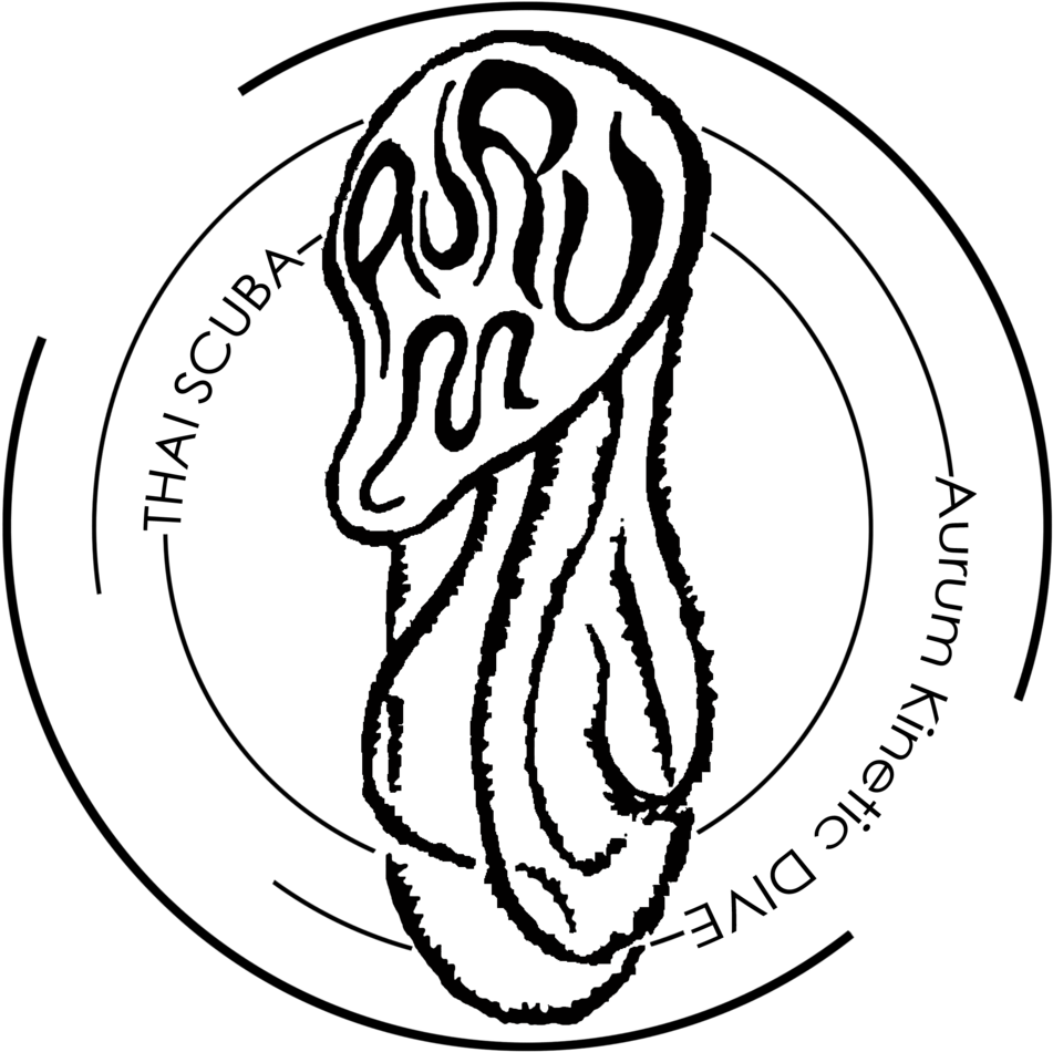 Drawn Tentacle Diver - Sketch Clipart (1000x995), Png Download