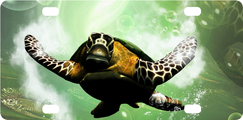 Hawksbill Sea Turtle , Png Download - Sea Turtle Clipart (799x395), Png Download