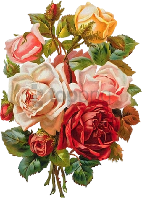 Free Png Винтажные Цветы В Для Декупажа - Flowers Images Hd Png Clipart (480x671), Png Download