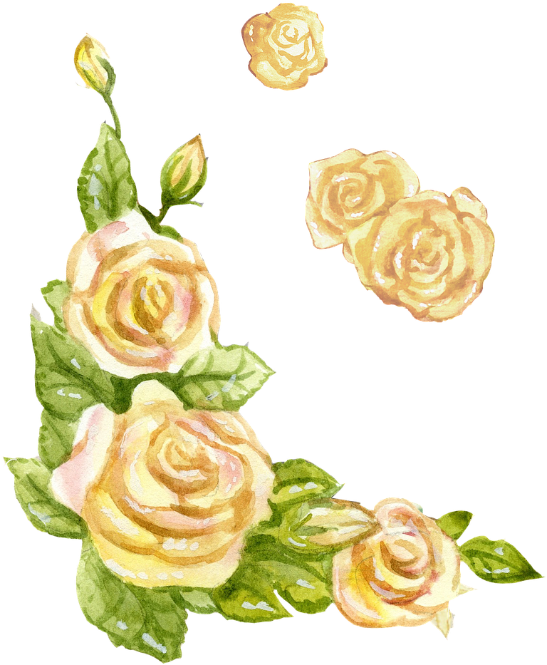 English Rose Yellow Watercolor Png Image - Yellow Watercolor Flower Transparent Clipart (905x1280), Png Download