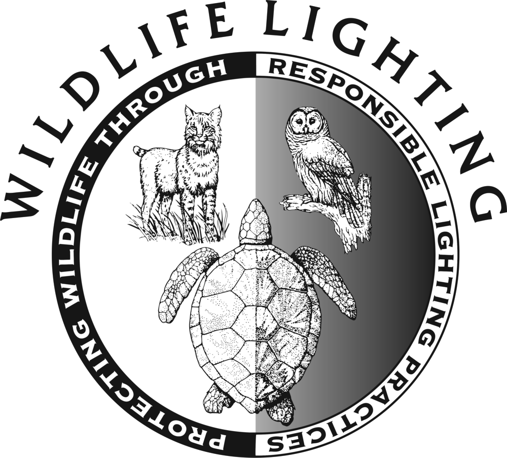 Wildlife Clipart (1000x903), Png Download