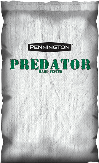 Predator Hard Fescue - Fescues Clipart (600x600), Png Download