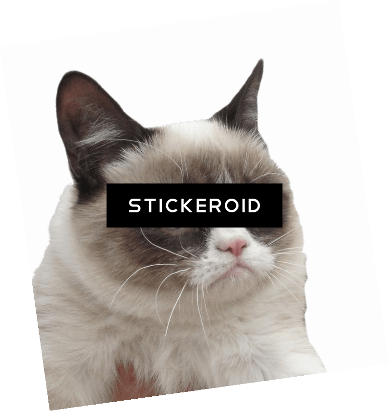 Asian , Png Download - Asian Clipart (796x840), Png Download