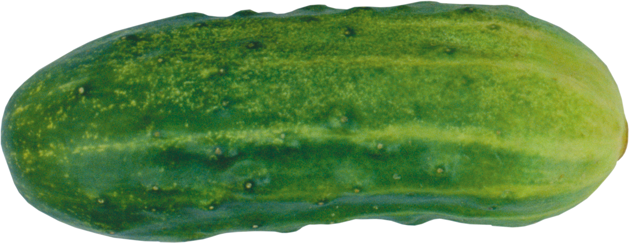 Cucumber Png - Огурец Png Clipart (2443x949), Png Download