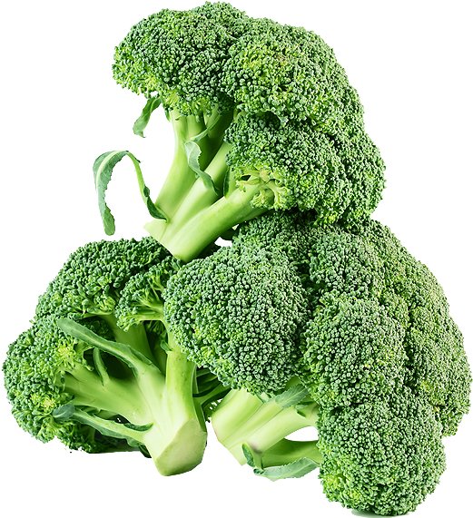 Broccoli Clipart (600x600), Png Download
