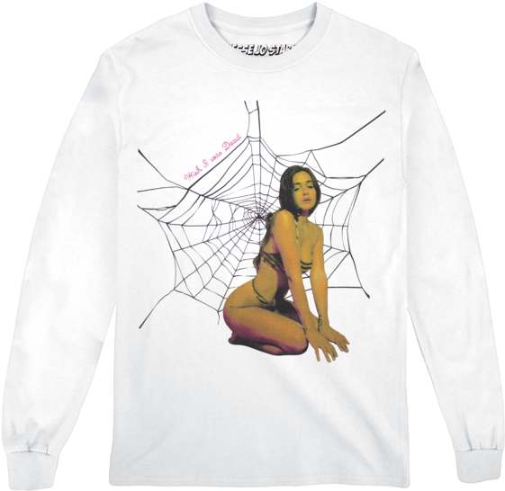 Spider Web Longsleeve T-shirt - Shirt Clipart (600x600), Png Download