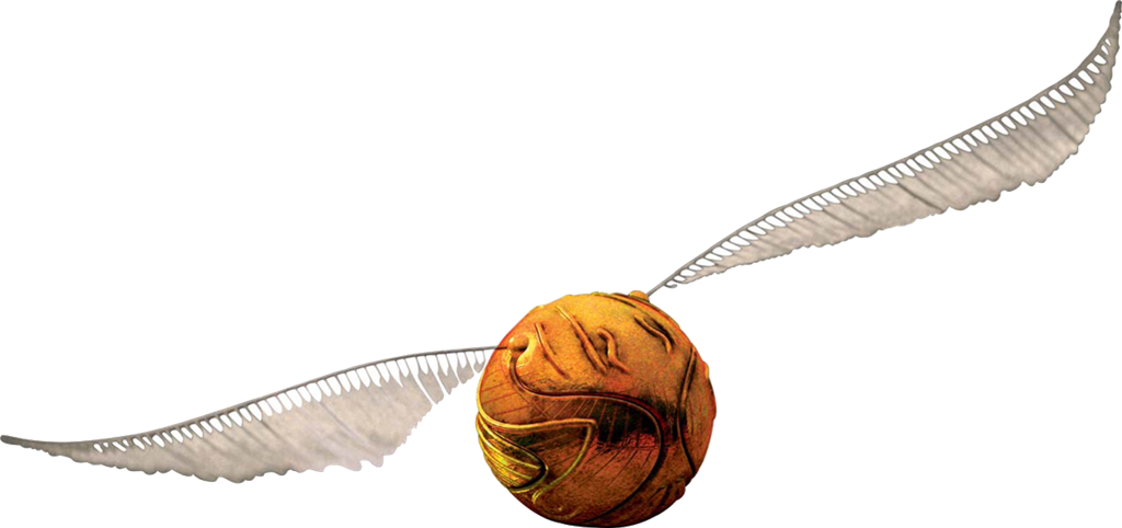 What Shoul Be Your Harry Potter Broom - Harry Potter Snitch Png Clipart (1024x482), Png Download