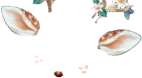 Snapchat Filters Png Transparent Images - Deer Snapchat Filter Png Clipart (640x480), Png Download