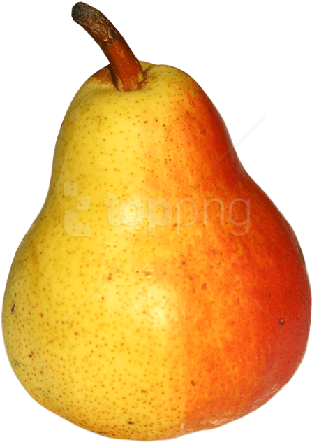 Free Png Pear Png - Asian Pear Clipart (481x668), Png Download