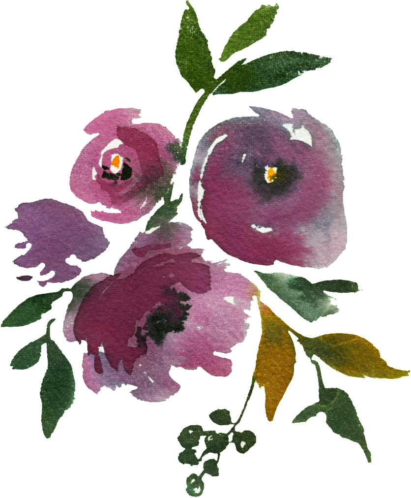 Hand-painted Dark Purple Flowers Png Transparent Material - Rosa Rubiginosa Clipart (836x1012), Png Download