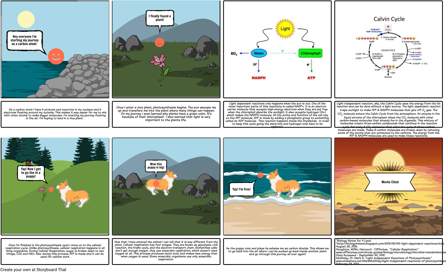 Journey Of A Carbon Atom - Photosynthesis Calvin Cycle Clipart (1703x1055), Png Download