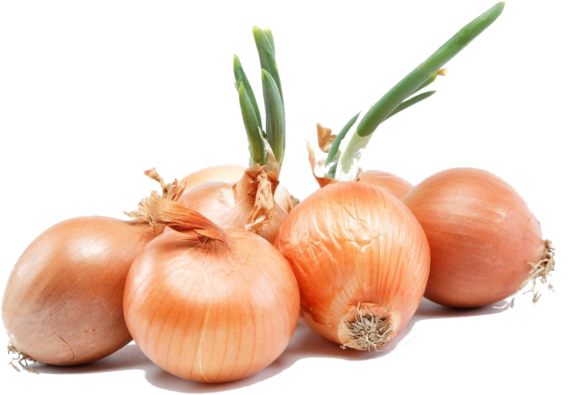 Svg Transparent Download Ubs Dress Code On Emaze Breath - Benefits Of Onion Clipart (1200x900), Png Download