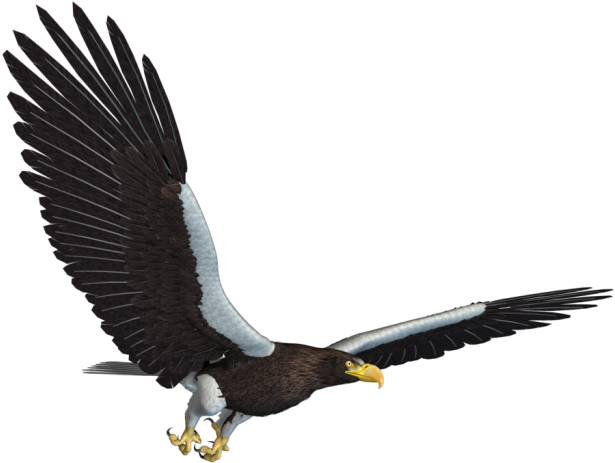 Eagle Png - Flying Eagle Jpg Clipart (700x525), Png Download