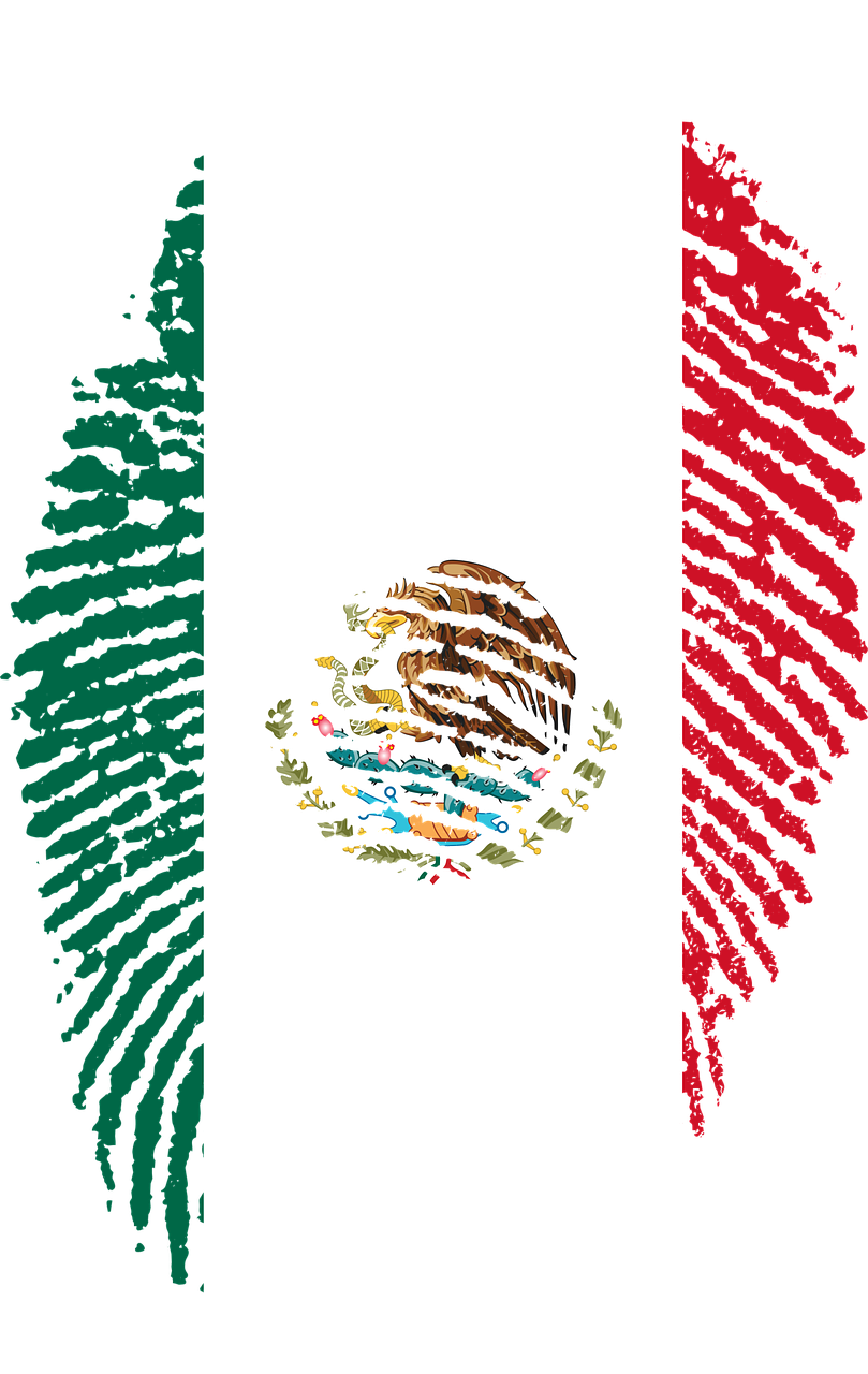 Mexico Flag Fingerprint Country Png Image - Mexico Flag Fingerprint Clipart (809x1280), Png Download