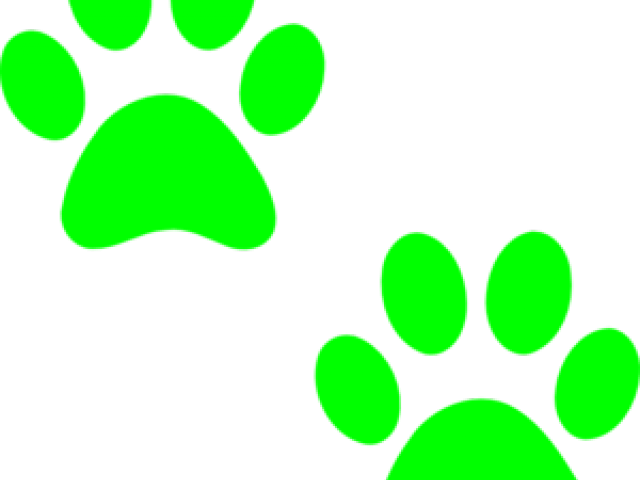 White Paw Print Transparent Clipart (640x480), Png Download
