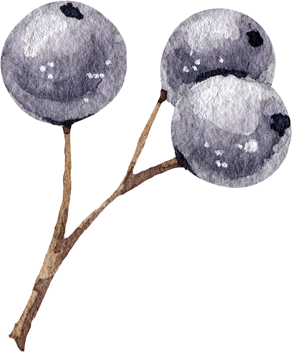 Blueberry , Png Download Clipart (1024x1235), Png Download