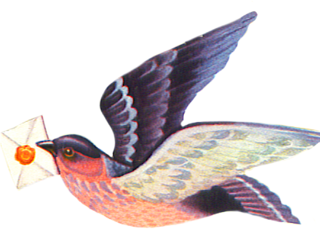 Flying Bird Clipart Bird Png - Phasianidae Transparent Png (640x480), Png Download