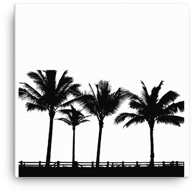 Palm Tree Silhouette Canvas - T-shirt Clipart (1000x1000), Png Download