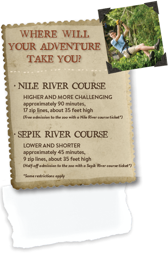 Crocodile Cross Right2 - Flyer Clipart (543x818), Png Download