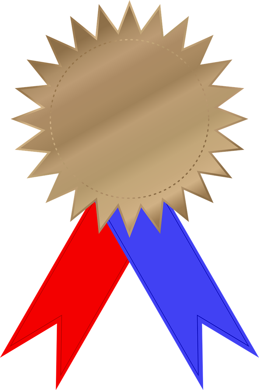 Award Bronze Celebration Png Image - Ribbon And Medal Png Clipart (851x1280), Png Download