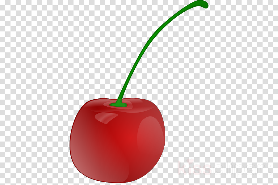 Copyright Symbol Png Clipart Sound Recording Copyright - Transparent Background Vinyl Png (900x600), Png Download