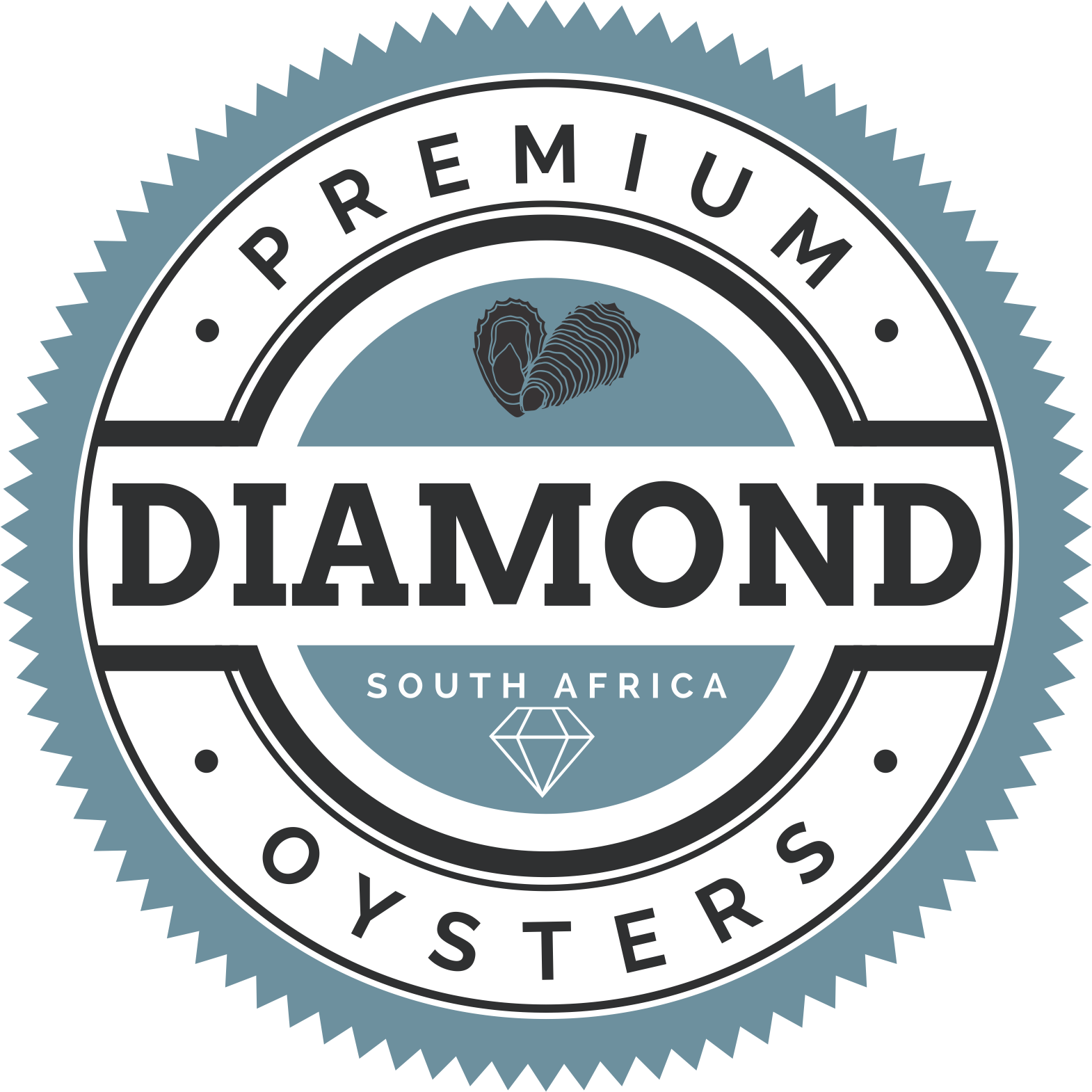 South African Premium Diamond Oysters Fresh From Saldanhabay - University Of Connecticut Clipart (1570x1570), Png Download