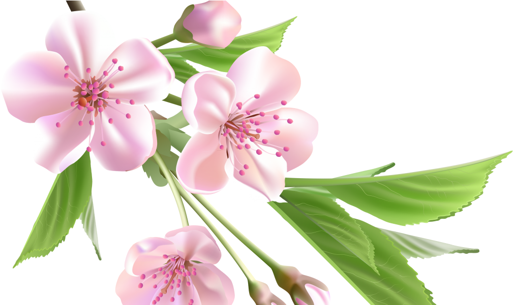 Png Format Images Of Flowers Clipart (1024x600), Png Download