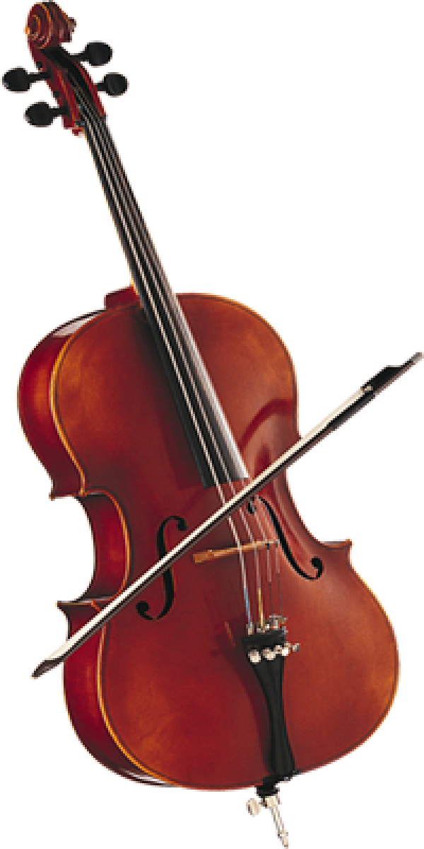 Violin Png Free Download - Free Violin Png Clipart (600x1200), Png Download