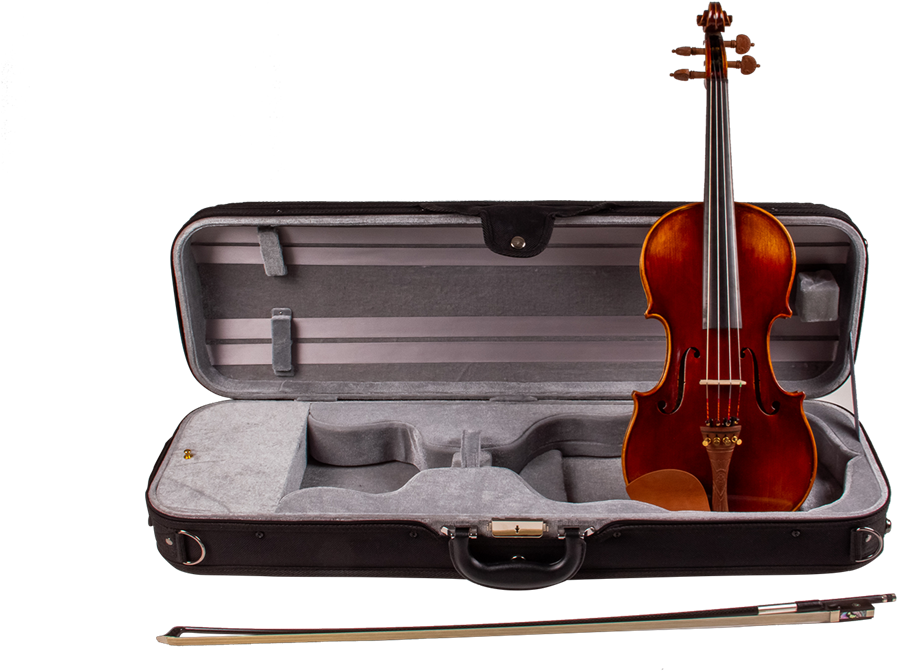 304291 4 - Violin Clipart (1024x683), Png Download
