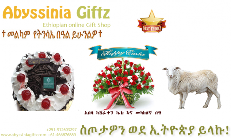More Views - Abyssinia Giftz Clipart (800x800), Png Download