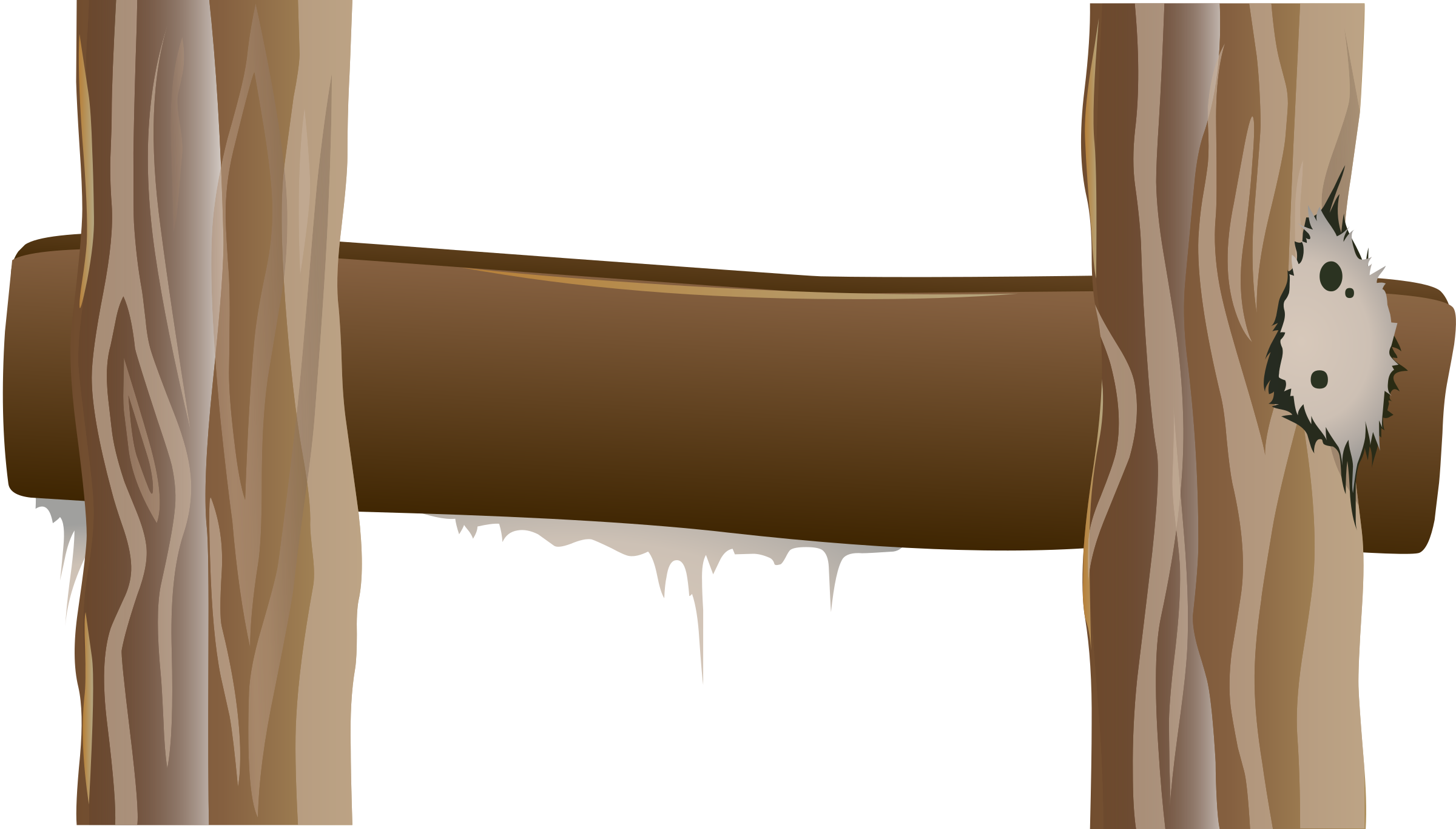 This Free Icons Png Design Of Ilmenskie Tree Int Ladder - Window Covering Clipart (2400x1366), Png Download