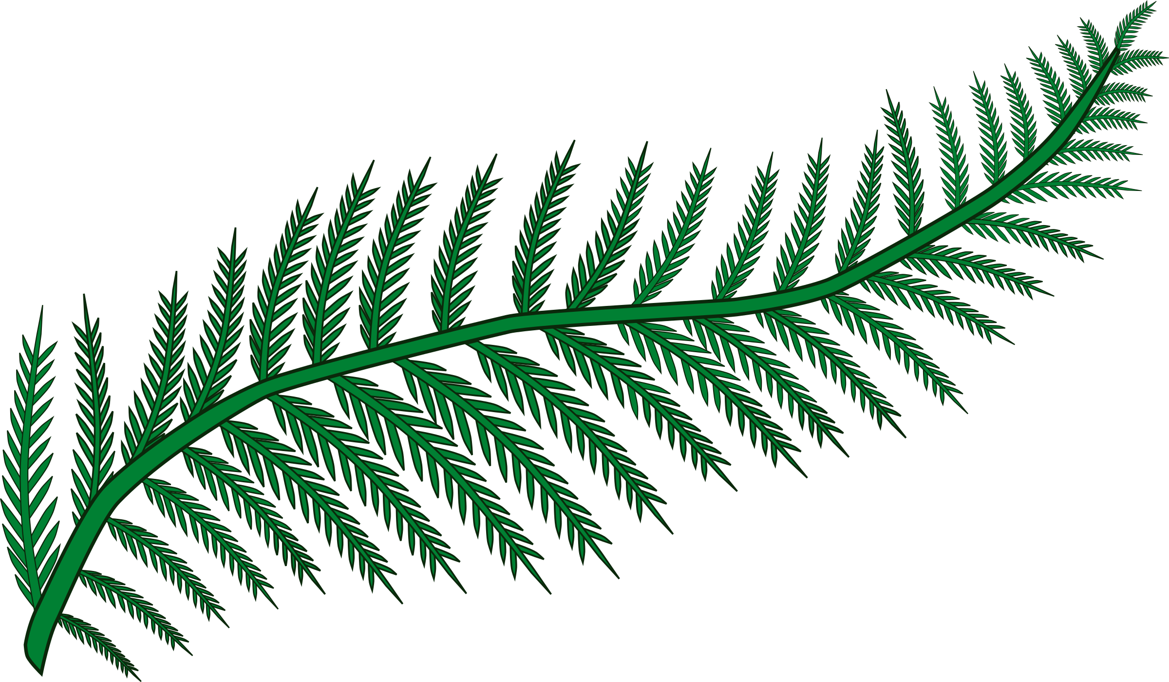 Branch Fern Forest Frond Plant Png Image - Transparent Background Fern Clipart (1280x746), Png Download