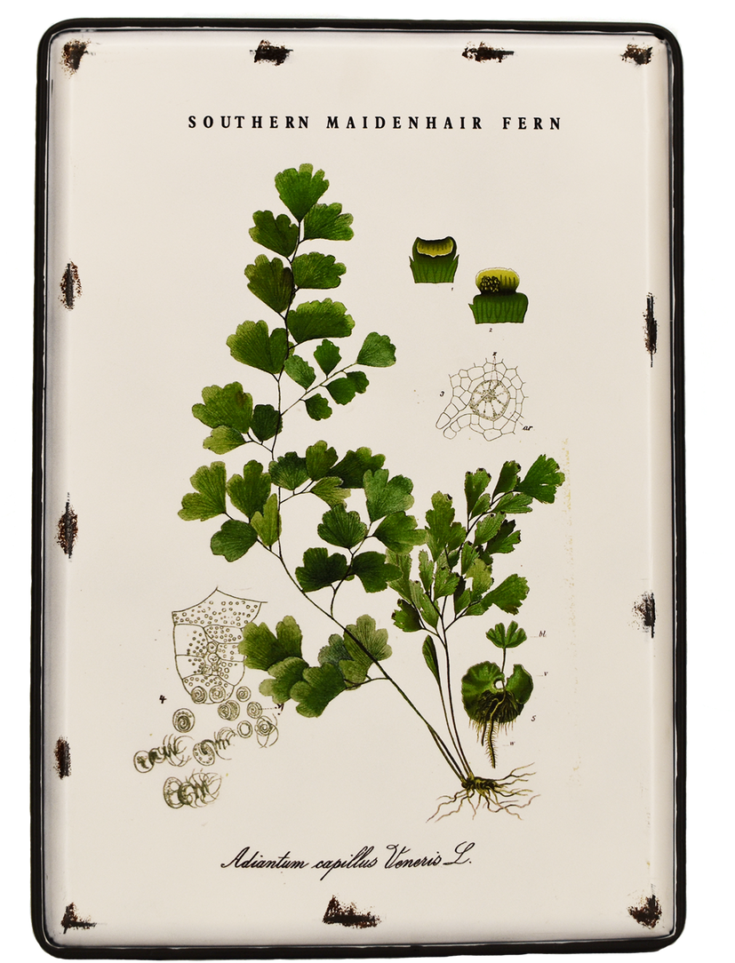 Image - Tree Clipart (1148x1280), Png Download